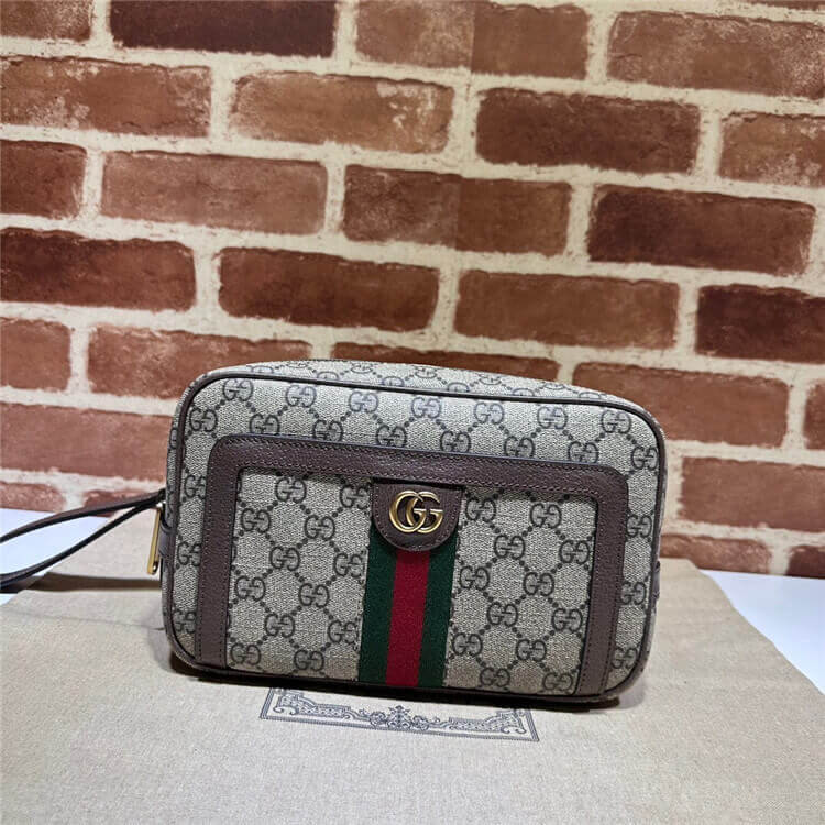 Replica-Gucci-Ophidia-GG-Pouch-760245-96IWT-8745-2.jpg