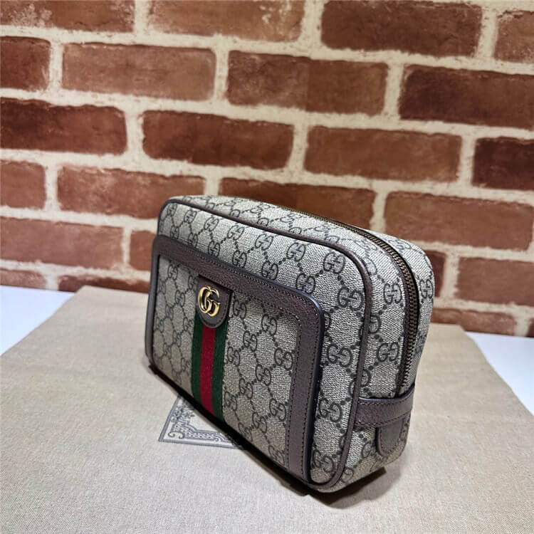 Replica-Gucci-Ophidia-GG-Pouch-760245-96IWT-8745-3.jpg